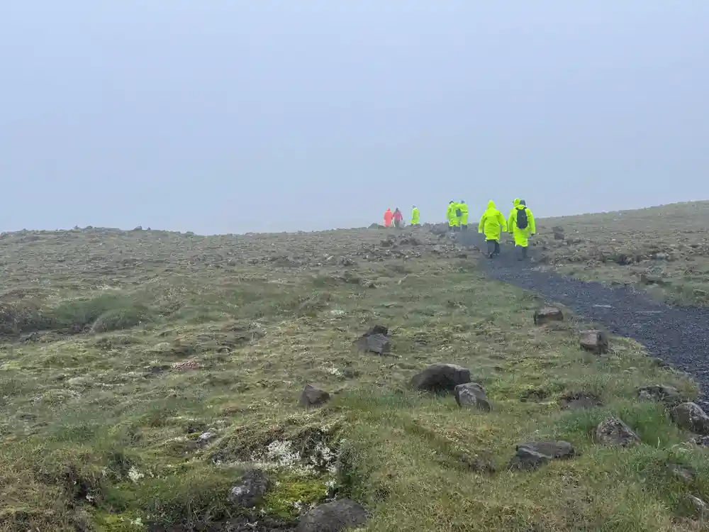 Walkers in high-visibility jackets crossing the moss in fog